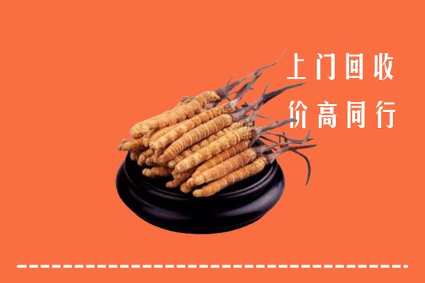高价求购：云和县回收散虫草